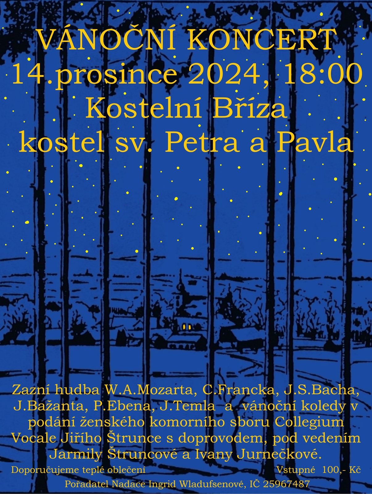 Vánoční koncert - Kostelní Bříza.jpg
