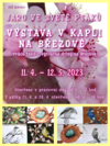 Výstava